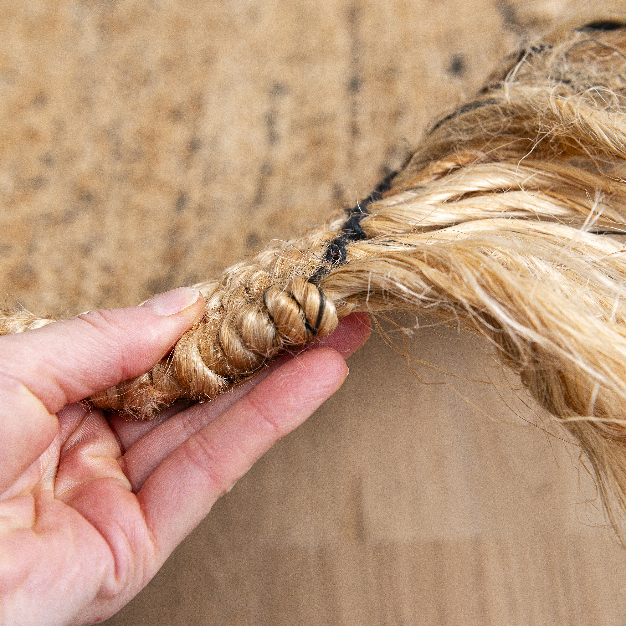 Jute Flatweave Handwoven Rug  With Fringe - RIHWJNAT